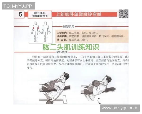 初学者必看哑铃锻炼方法详解与图解助你轻松掌握健身技巧