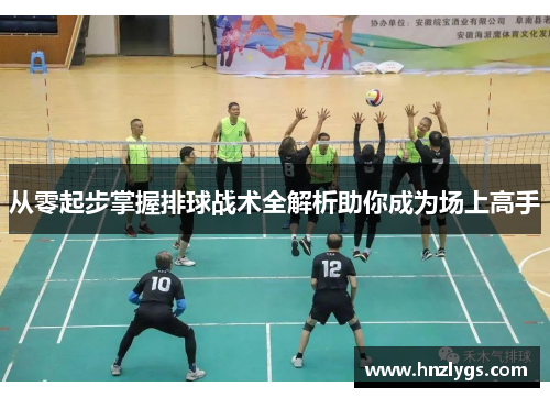 从零起步掌握排球战术全解析助你成为场上高手